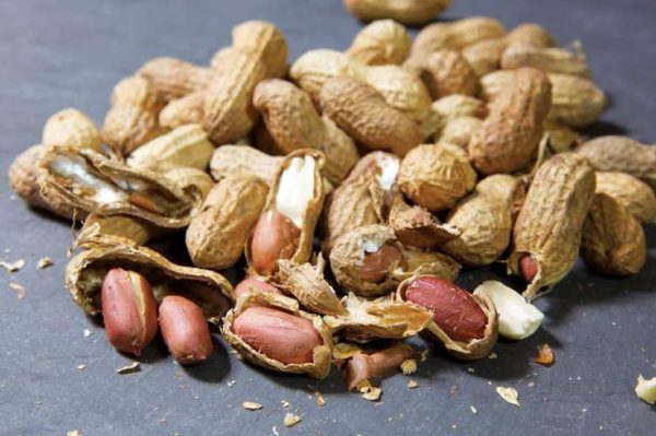 PEANUT-FARMING-AND-PROCESSING-BUSINESS-PLAN-IN-NIGERIA-5